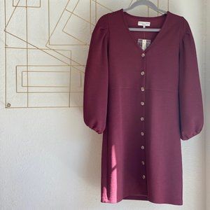Madewell Balloon Sleeve Button Down Dress